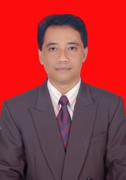 Michael Haryadi Wibowo