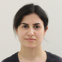 Hanieh Gholizadeh