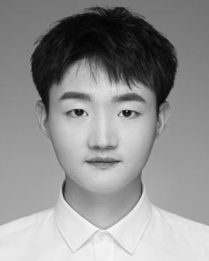 Renwei Wei