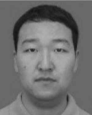 Shengwei Qin