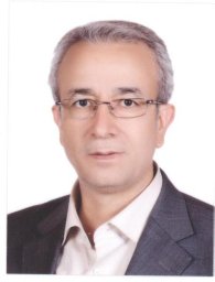 Hossein Hassani
