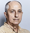 Niek van Hulst