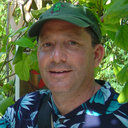 Nathan M Schiff