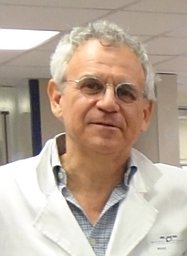 Marco G Paggi