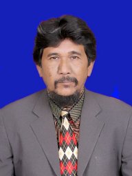 Salami Mahmud