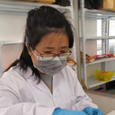 Xiaoying Li