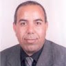 Hatem Elaydi