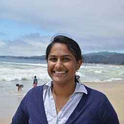 Raj Suraja