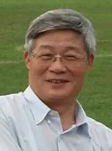 Yonghong Yang