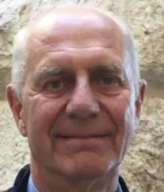 Stefano A. Cerri