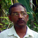 Nimal Perera