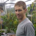 Michael J Considine