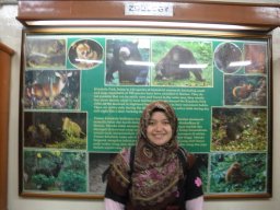 Madinah Adrus