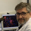 Laurent Givalois