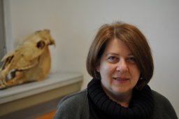 Pişkin Evangelia