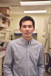Yusuke Hirabayashi
