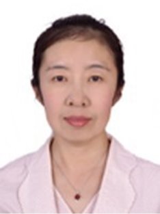 Jin Zeng