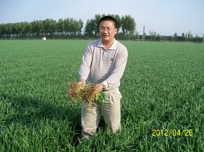 Yunma Yang