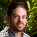 Justin D. Levinson