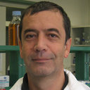 Michael P Szostak