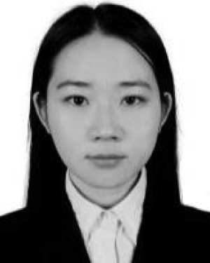 Meng Wang