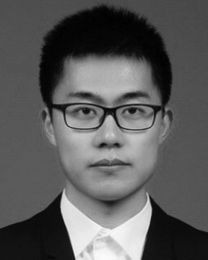 Feng Li