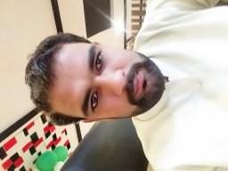 M. Haneef