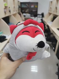 Jinming Xiao
