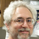 Steven H Green