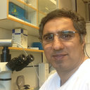 Mohammad Reza Mirlashari