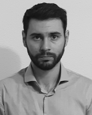 Cristian Hristea
