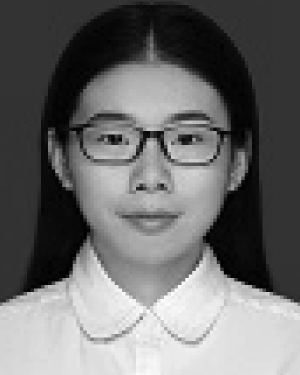 Luyun Wang