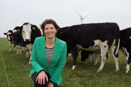 annet g j velthuis