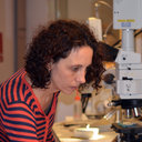 Cristina Lemorini