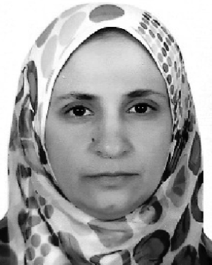 Anar A. Hady