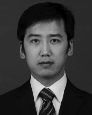 Qingyang Zhang