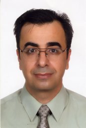 Ahmed N. Albatineh