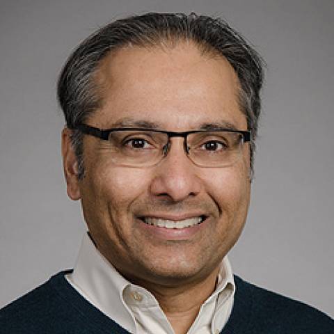 Vishesh K. Kapur