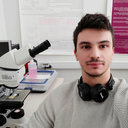 Luca Bertola