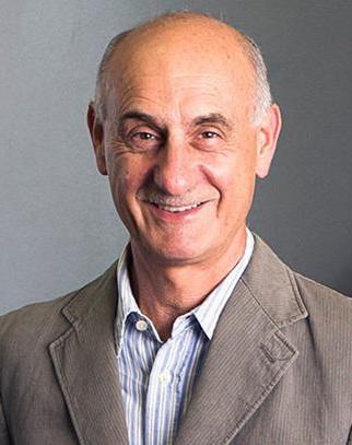 Stephen J Frenkel