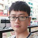 Sa Liu
