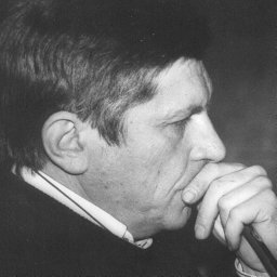 V. V. Belyi