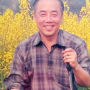 Xin Liu