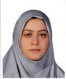 Bagheri Amiri Fahimeh