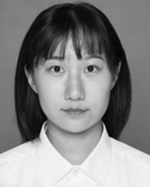 Chenping Zhang