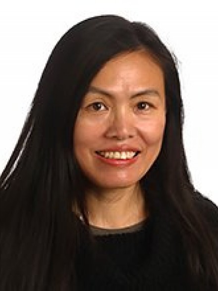 Jiayu Wen