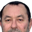 V. M. Borisov