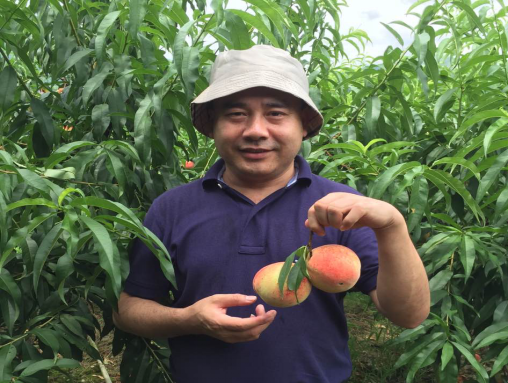 Shuisheng Wu