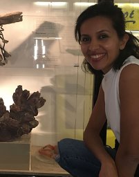 Dareen Almojil