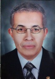 Amr M Zoair